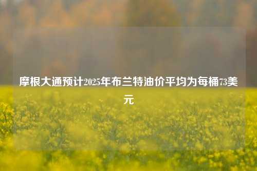 摩根大通预计2025年布兰特油价平均为每桶73美元-第1张图片-体育新闻