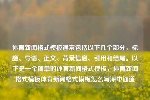 体育新闻格式模板通常包括以下几个部分，标题、导语、正文、背景信息、引用和结尾。以下是一个简单的体育新闻格式模板，体育新闻格式模板体育新闻格式模板怎么写深中通道-第1张图片-体育新闻