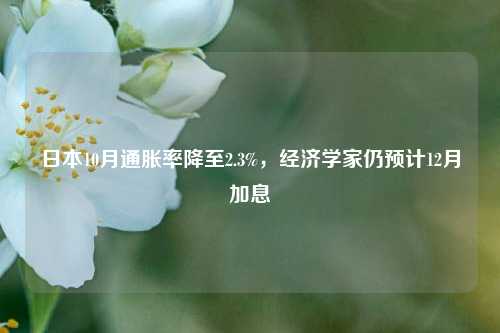 日本10月通胀率降至2.3%，经济学家仍预计12月加息-第1张图片-体育新闻