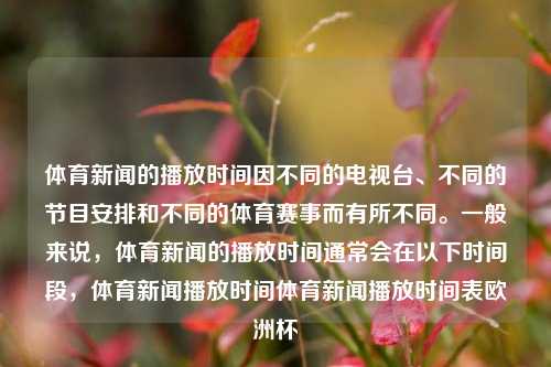 体育新闻的播放时间因不同的电视台、不同的节目安排和不同的体育赛事而有所不同。一般来说，体育新闻的播放时间通常会在以下时间段，体育新闻播放时间体育新闻播放时间表欧洲杯-第1张图片-体育新闻