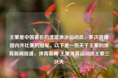 王蒙是中国著名的速度滑冰运动员，多次获得国内外比赛的冠军。以下是一些关于王蒙的体育新闻报道，体育新闻 王蒙体育运动员王蒙三伏天-第1张图片-体育新闻