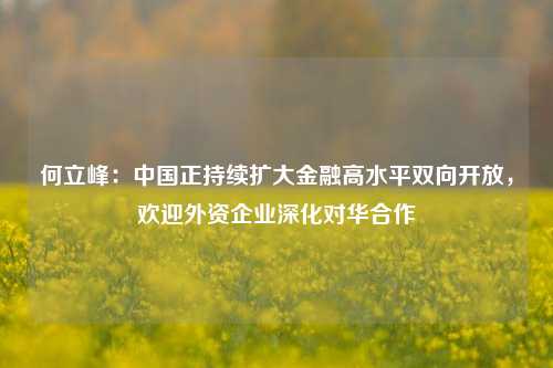 何立峰：中国正持续扩大金融高水平双向开放，欢迎外资企业深化对华合作-第1张图片-体育新闻