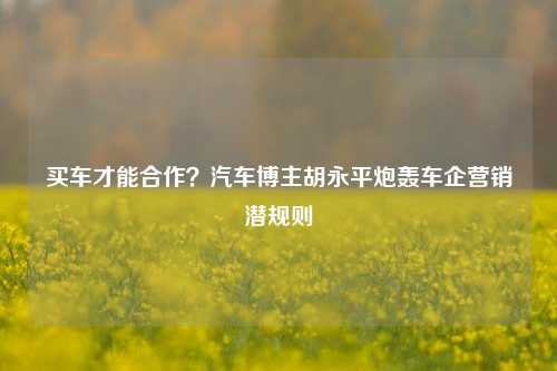 买车才能合作？汽车博主胡永平炮轰车企营销潜规则-第1张图片-体育新闻