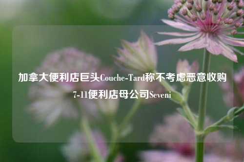 加拿大便利店巨头Couche-Tard称不考虑恶意收购7-11便利店母公司Seveni-第1张图片-体育新闻