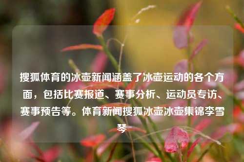 搜狐体育的冰壶新闻涵盖了冰壶运动的各个方面，包括比赛报道、赛事分析、运动员专访、赛事预告等。体育新闻搜狐冰壶冰壶集锦李雪琴-第1张图片-体育新闻