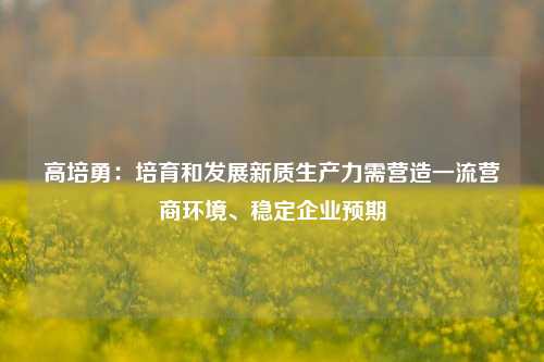 高培勇：培育和发展新质生产力需营造一流营商环境、稳定企业预期-第1张图片-体育新闻