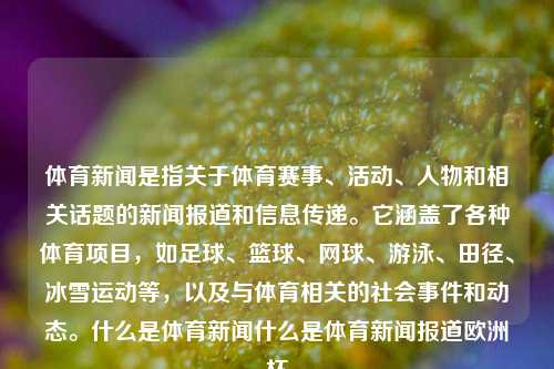 体育新闻是指关于体育赛事、活动、人物和相关话题的新闻报道和信息传递。它涵盖了各种体育项目，如足球、篮球、网球、游泳、田径、冰雪运动等，以及与体育相关的社会事件和动态。什么是体育新闻什么是体育新闻报道欧洲杯-第1张图片-体育新闻