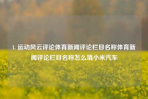 1. 运动风云评论体育新闻评论栏目名称体育新闻评论栏目名称怎么填小米汽车-第1张图片-体育新闻