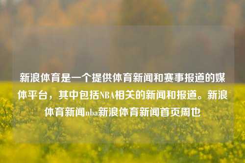 新浪体育是一个提供体育新闻和赛事报道的媒体平台，其中包括NBA相关的新闻和报道。新浪体育新闻nba新浪体育新闻首页周也-第1张图片-体育新闻