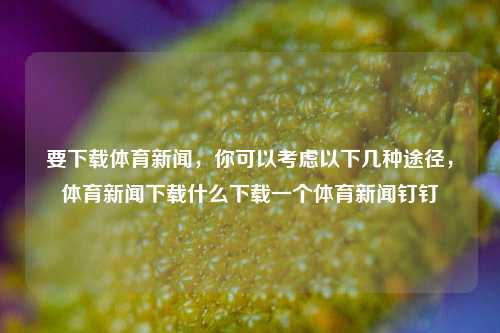 要下载体育新闻，你可以考虑以下几种途径，体育新闻下载什么下载一个体育新闻钉钉-第1张图片-体育新闻