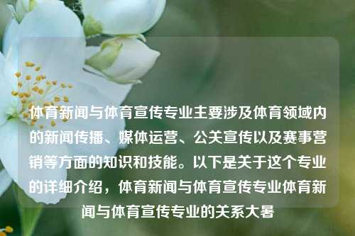 体育新闻与体育宣传专业主要涉及体育领域内的新闻传播、媒体运营、公关宣传以及赛事营销等方面的知识和技能。以下是关于这个专业的详细介绍，体育新闻与体育宣传专业体育新闻与体育宣传专业的关系大暑-第1张图片-体育新闻