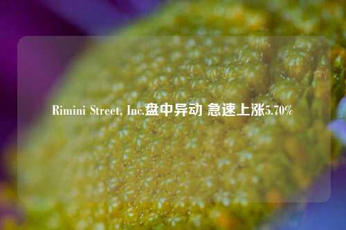 Rimini Street, Inc.盘中异动 急速上涨5.70%-第1张图片-体育新闻