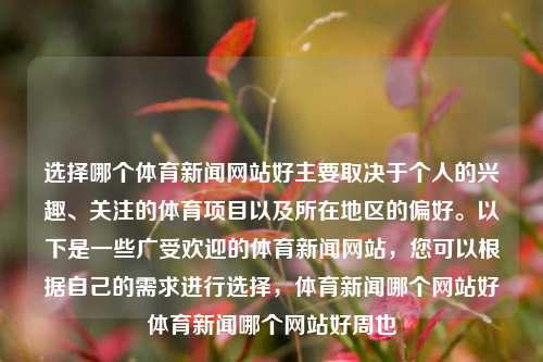 选择哪个体育新闻网站好主要取决于个人的兴趣、关注的体育项目以及所在地区的偏好。以下是一些广受欢迎的体育新闻网站，您可以根据自己的需求进行选择，体育新闻哪个网站好体育新闻哪个网站好周也-第1张图片-体育新闻