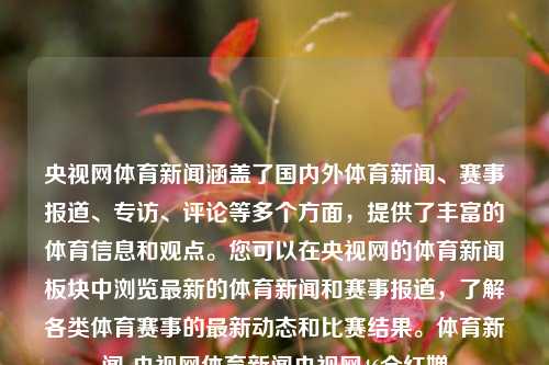 央视网体育新闻涵盖了国内外体育新闻、赛事报道、专访、评论等多个方面，提供了丰富的体育信息和观点。您可以在央视网的体育新闻板块中浏览最新的体育新闻和赛事报道，了解各类体育赛事的最新动态和比赛结果。体育新闻-央视网体育新闻央视网46全红婵-第1张图片-体育新闻