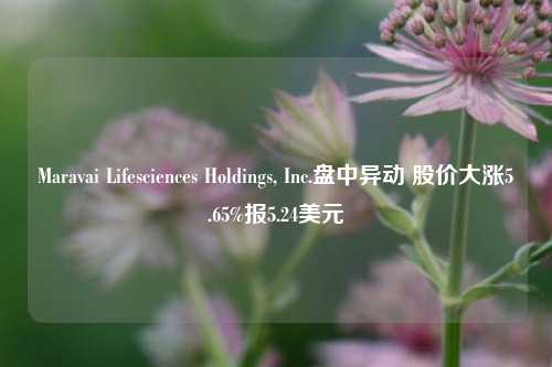 Maravai Lifesciences Holdings, Inc.盘中异动 股价大涨5.65%报5.24美元-第1张图片-体育新闻