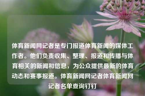 体育新闻网记者是专门报道体育新闻的媒体工作者。他们负责收集、整理、报道和传播与体育相关的新闻和信息，为公众提供最新的体育动态和赛事报道。体育新闻网记者体育新闻网记者名单查询钉钉-第1张图片-体育新闻