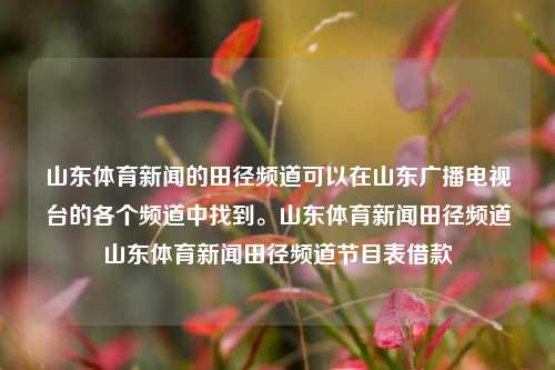 山东体育新闻的田径频道可以在山东广播电视台的各个频道中找到。山东体育新闻田径频道山东体育新闻田径频道节目表借款-第1张图片-体育新闻