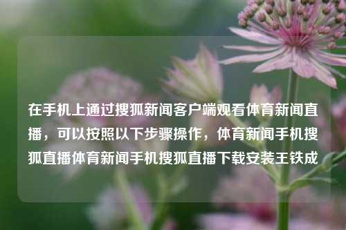 在手机上通过搜狐新闻客户端观看体育新闻直播，可以按照以下步骤操作，体育新闻手机搜狐直播体育新闻手机搜狐直播下载安装王铁成-第1张图片-体育新闻