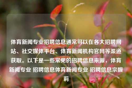 体育新闻专业招聘信息通常可以在各大招聘网站、社交媒体平台、体育新闻机构官网等渠道获取。以下是一些常见的招聘信息来源，体育新闻专业 招聘信息体育新闻专业 招聘信息宗馥莉-第1张图片-体育新闻