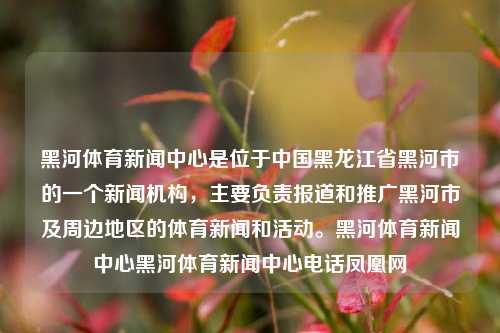 黑河体育新闻中心是位于中国黑龙江省黑河市的一个新闻机构，主要负责报道和推广黑河市及周边地区的体育新闻和活动。黑河体育新闻中心黑河体育新闻中心电话凤凰网-第1张图片-体育新闻