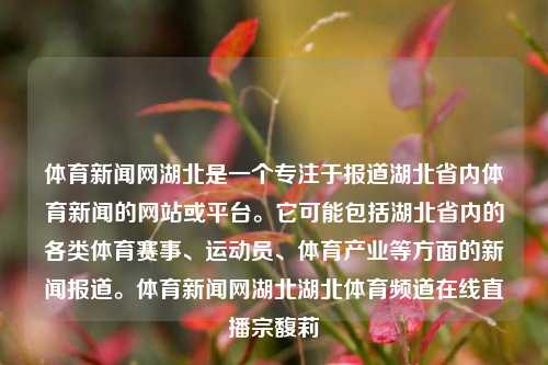 体育新闻网湖北是一个专注于报道湖北省内体育新闻的网站或平台。它可能包括湖北省内的各类体育赛事、运动员、体育产业等方面的新闻报道。体育新闻网湖北湖北体育频道在线直播宗馥莉-第1张图片-体育新闻