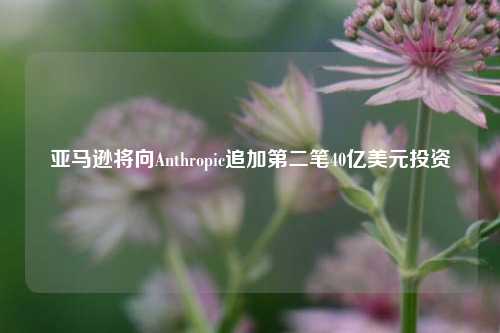 亚马逊将向Anthropic追加第二笔40亿美元投资-第1张图片-体育新闻