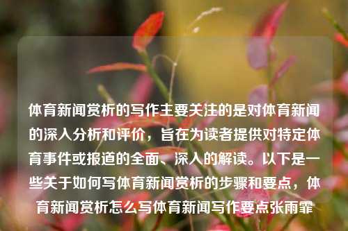 体育新闻赏析的写作主要关注的是对体育新闻的深入分析和评价，旨在为读者提供对特定体育事件或报道的全面、深入的解读。以下是一些关于如何写体育新闻赏析的步骤和要点，体育新闻赏析怎么写体育新闻写作要点张雨霏-第1张图片-体育新闻