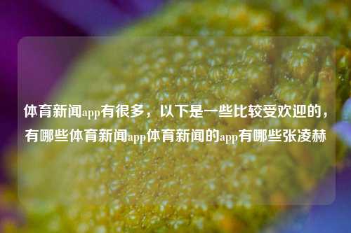 体育新闻app有很多，以下是一些比较受欢迎的，有哪些体育新闻app体育新闻的app有哪些张凌赫-第1张图片-体育新闻