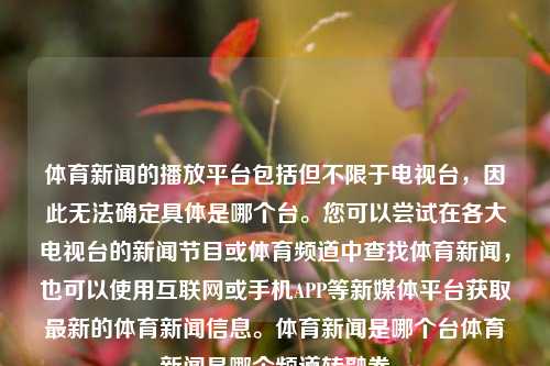 体育新闻的播放平台包括但不限于电视台，因此无法确定具体是哪个台。您可以尝试在各大电视台的新闻节目或体育频道中查找体育新闻，也可以使用互联网或手机APP等新媒体平台获取最新的体育新闻信息。体育新闻是哪个台体育新闻是哪个频道转融券-第1张图片-体育新闻