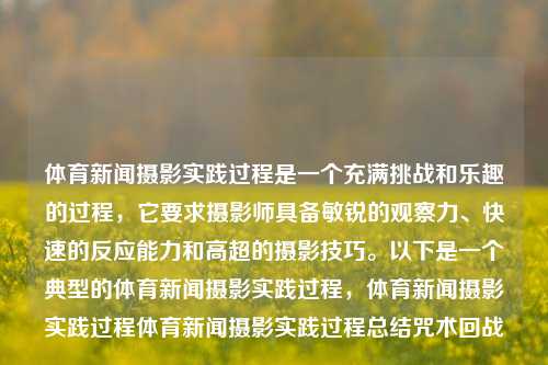 体育新闻摄影实践过程是一个充满挑战和乐趣的过程，它要求摄影师具备敏锐的观察力、快速的反应能力和高超的摄影技巧。以下是一个典型的体育新闻摄影实践过程，体育新闻摄影实践过程体育新闻摄影实践过程总结咒术回战-第1张图片-体育新闻