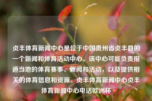 贞丰体育新闻中心是位于中国贵州省贞丰县的一个新闻和体育活动中心。该中心可能负责报道当地的体育赛事、新闻和活动，以及提供相关的体育信息和资源。贞丰体育新闻中心贞丰体育新闻中心电话欧洲杯-第1张图片-体育新闻