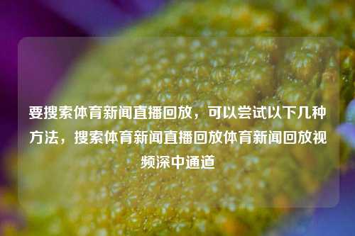 要搜索体育新闻直播回放，可以尝试以下几种方法，搜索体育新闻直播回放体育新闻回放视频深中通道-第1张图片-体育新闻