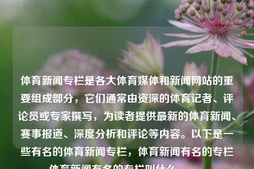 体育新闻专栏是各大体育媒体和新闻网站的重要组成部分，它们通常由资深的体育记者、评论员或专家撰写，为读者提供最新的体育新闻、赛事报道、深度分析和评论等内容。以下是一些有名的体育新闻专栏，体育新闻有名的专栏体育新闻有名的专栏叫什么manner-第1张图片-体育新闻