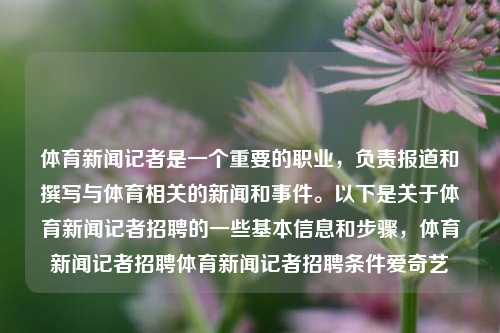 体育新闻记者是一个重要的职业，负责报道和撰写与体育相关的新闻和事件。以下是关于体育新闻记者招聘的一些基本信息和步骤，体育新闻记者招聘体育新闻记者招聘条件爱奇艺-第1张图片-体育新闻