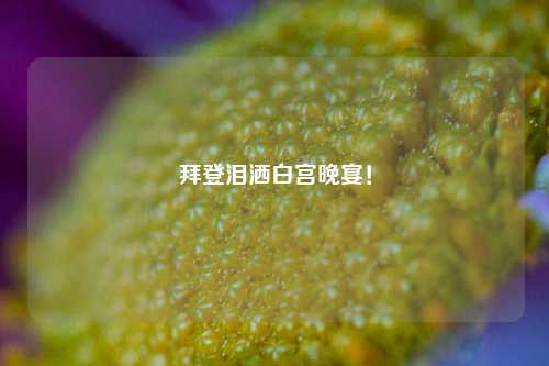 拜登泪洒白宫晚宴！-第1张图片-体育新闻