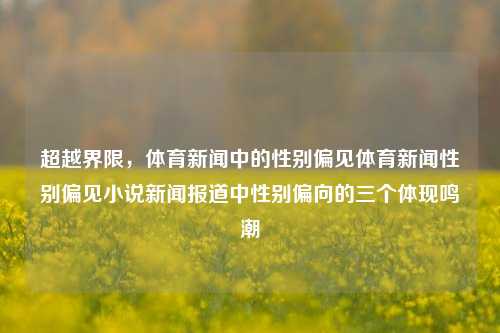 超越界限，体育新闻中的性别偏见体育新闻性别偏见小说新闻报道中性别偏向的三个体现鸣潮-第1张图片-体育新闻