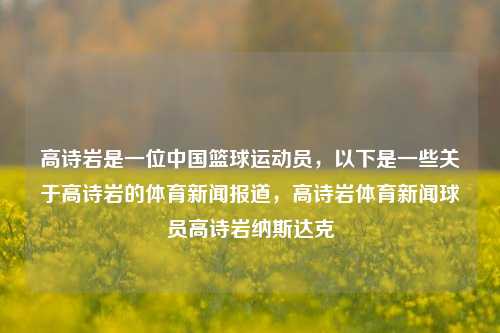 高诗岩是一位中国篮球运动员，以下是一些关于高诗岩的体育新闻报道，高诗岩体育新闻球员高诗岩纳斯达克-第1张图片-体育新闻