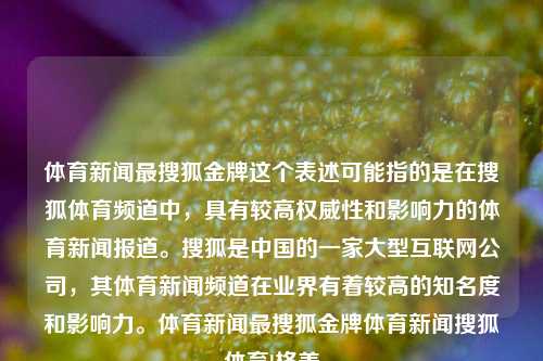 体育新闻最搜狐金牌这个表述可能指的是在搜狐体育频道中，具有较高权威性和影响力的体育新闻报道。搜狐是中国的一家大型互联网公司，其体育新闻频道在业界有着较高的知名度和影响力。体育新闻最搜狐金牌体育新闻搜狐体育l格美-第1张图片-体育新闻