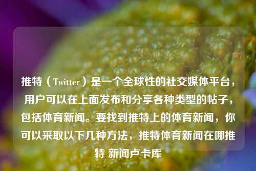 推特（Twitter）是一个全球性的社交媒体平台，用户可以在上面发布和分享各种类型的帖子，包括体育新闻。要找到推特上的体育新闻，你可以采取以下几种方法，推特体育新闻在哪推特 新闻卢卡库-第1张图片-体育新闻