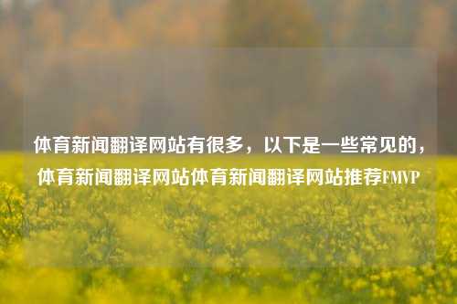 体育新闻翻译网站有很多，以下是一些常见的，体育新闻翻译网站体育新闻翻译网站推荐FMVP-第1张图片-体育新闻