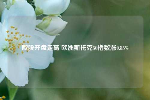 欧股开盘走高 欧洲斯托克50指数涨0.85%-第1张图片-体育新闻