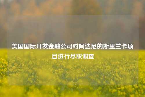 美国国际开发金融公司对阿达尼的斯里兰卡项目进行尽职调查-第1张图片-体育新闻