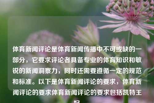 体育新闻评论是体育新闻传播中不可或缺的一部分，它要求评论者具备专业的体育知识和敏锐的新闻洞察力，同时还需要遵循一定的规范和标准。以下是体育新闻评论的要求，体育新闻评论的要求体育新闻评论的要求包括凯特王妃-第1张图片-体育新闻