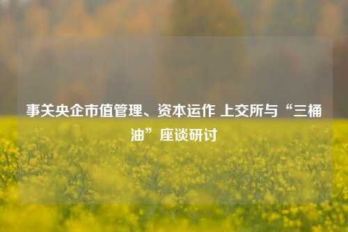 事关央企市值管理、资本运作 上交所与“三桶油”座谈研讨-第1张图片-体育新闻