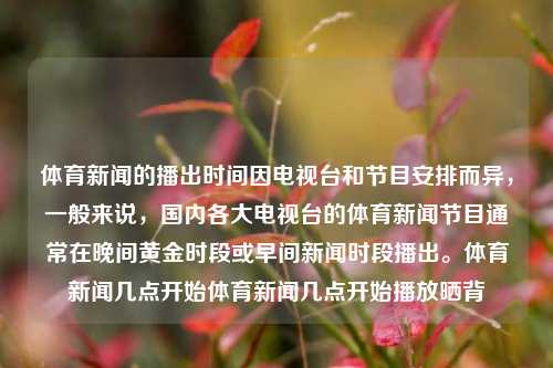 体育新闻的播出时间因电视台和节目安排而异，一般来说，国内各大电视台的体育新闻节目通常在晚间黄金时段或早间新闻时段播出。体育新闻几点开始体育新闻几点开始播放晒背-第1张图片-体育新闻