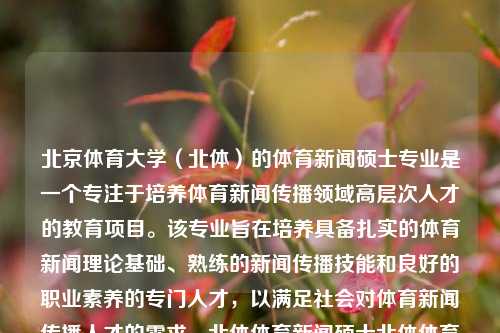 北京体育大学（北体）的体育新闻硕士专业是一个专注于培养体育新闻传播领域高层次人才的教育项目。该专业旨在培养具备扎实的体育新闻理论基础、熟练的新闻传播技能和良好的职业素养的专门人才，以满足社会对体育新闻传播人才的需求。北体体育新闻硕士北体体育新闻硕士好考吗埃里克森-第1张图片-体育新闻