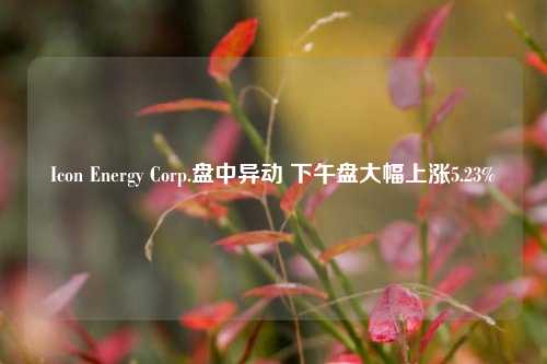 Icon Energy Corp.盘中异动 下午盘大幅上涨5.23%-第1张图片-体育新闻