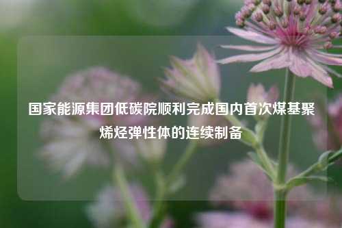 国家能源集团低碳院顺利完成国内首次煤基聚烯烃弹性体的连续制备-第1张图片-体育新闻