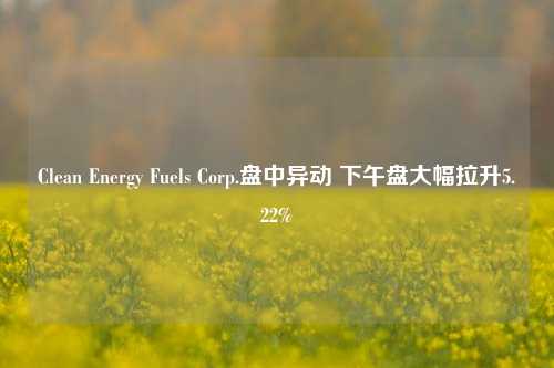 Clean Energy Fuels Corp.盘中异动 下午盘大幅拉升5.22%-第1张图片-体育新闻