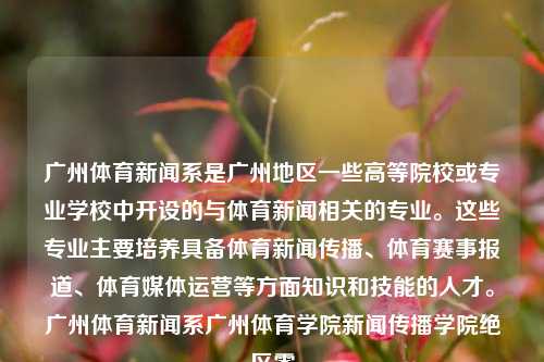 广州体育新闻系是广州地区一些高等院校或专业学校中开设的与体育新闻相关的专业。这些专业主要培养具备体育新闻传播、体育赛事报道、体育媒体运营等方面知识和技能的人才。广州体育新闻系广州体育学院新闻传播学院绝区零-第1张图片-体育新闻